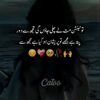 pagalaashiq204