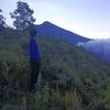 baetcing