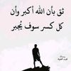 ahmed.aly2710