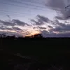 ergeben