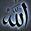 user4436835568870