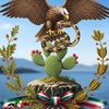 aguila.snchez8272