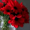 user56181186134395