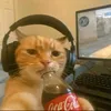 usuario_naoencontrado33