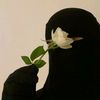 _safa__19