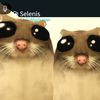 hamsterbaddiestwins