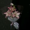 user031657430