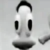 stpkkocicka