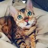 remi.and.rescues