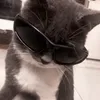 editzsss_cc