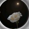 user8192460035802