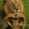 omahmed6203