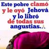 user59yoli