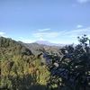 tirsoramirezmx