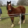 ridingwithmillsandscar