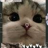 mariaangel1337