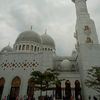 janganterlaluberharap95