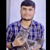 mohammadhasan8172