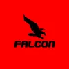 Falcon Helmets