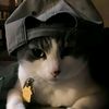 zaa_yapping1
