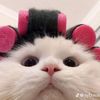 fafafafifififufuu