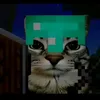 linuxx_o