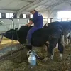 georgi.georgiev6169