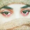 zahirkundi1