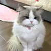ishtribery