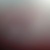 user6829722190329