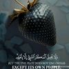 user2742055536297