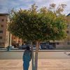 karam.elmorsy3
