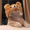user1439216170867