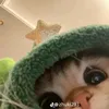 11moewmoew