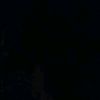 shfatnnha20