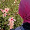 fatma39850