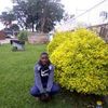 tumbazy