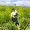 ramita.shrestha230