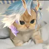 .kun.bun.ba.0_0
