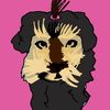 darsi_dogvlog