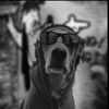 jace_johanson