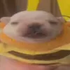 tylers_burg