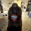 arturd0d0