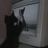 ★.