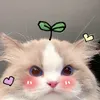 Niềm vui mỗi ngày🤡🤡