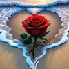 user9696210747262