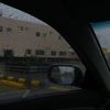 bush.900