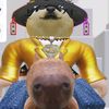 capybaramonsterdog