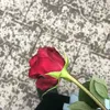 llo_t01
