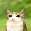 yarik_play468